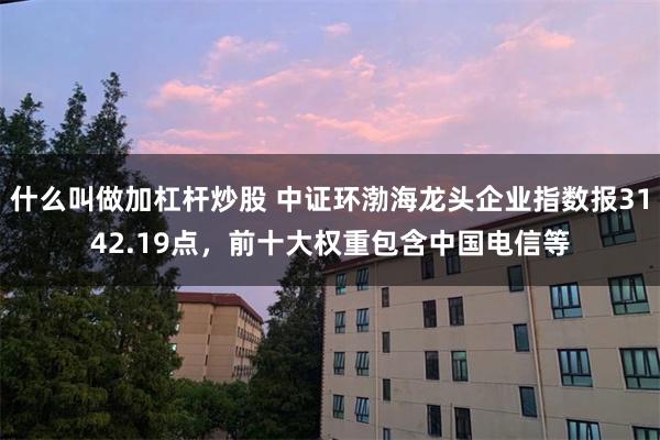 什么叫做加杠杆炒股 中证环渤海龙头企业指数报3142.19点，前十大权重包含中国电信等