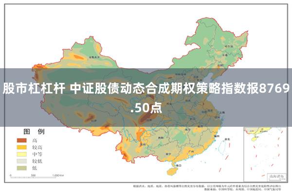 股市杠杠杆 中证股债动态合成期权策略指数报8769.50点