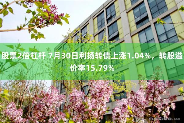 股票2倍杠杆 7月30日利扬转债上涨1.04%，转股溢价率15.79%