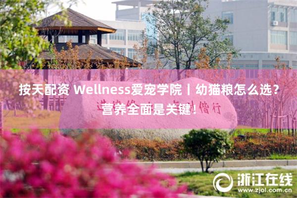 按天配资 Wellness爱宠学院丨幼猫粮怎么选？营养全面是关键！