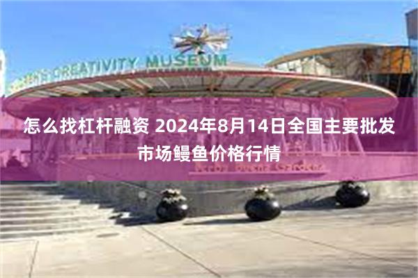 怎么找杠杆融资 2024年8月14日全国主要批发市场鳗鱼价格行情