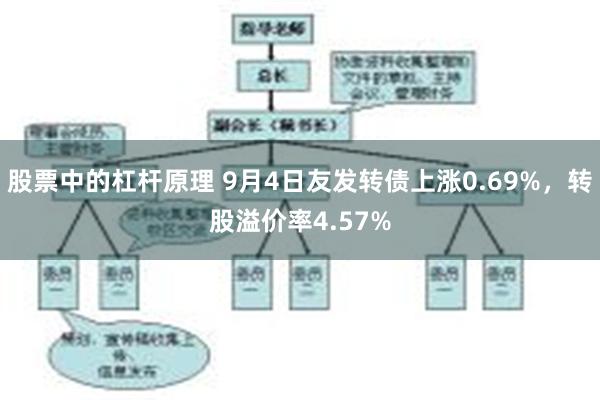 股票中的杠杆原理 9月4日友发转债上涨0.69%，转股溢价率4.57%