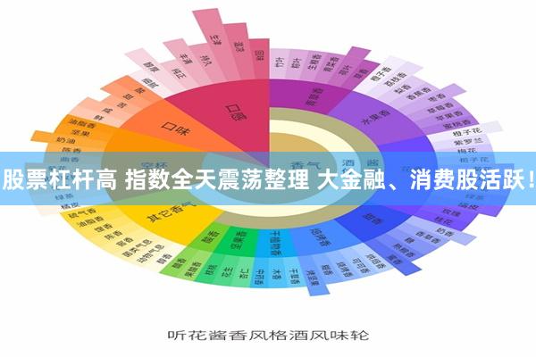 股票杠杆高 指数全天震荡整理 大金融、消费股活跃！