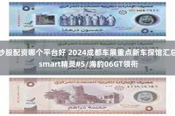 炒股配资哪个平台好 2024成都车展重点新车探馆汇总 smart精灵#5/海豹06GT领衔