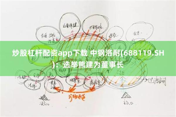 炒股杠杆配资app下载 中钢洛耐(688119.SH)：选举熊建为董事长