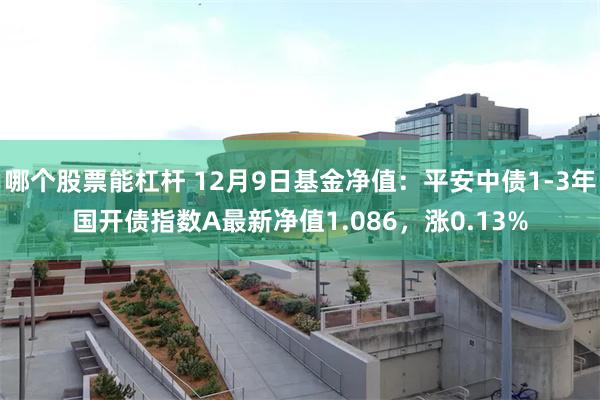 哪个股票能杠杆 12月9日基金净值：平安中债1-3年国开债指数A最新净值1.086，涨0.13%